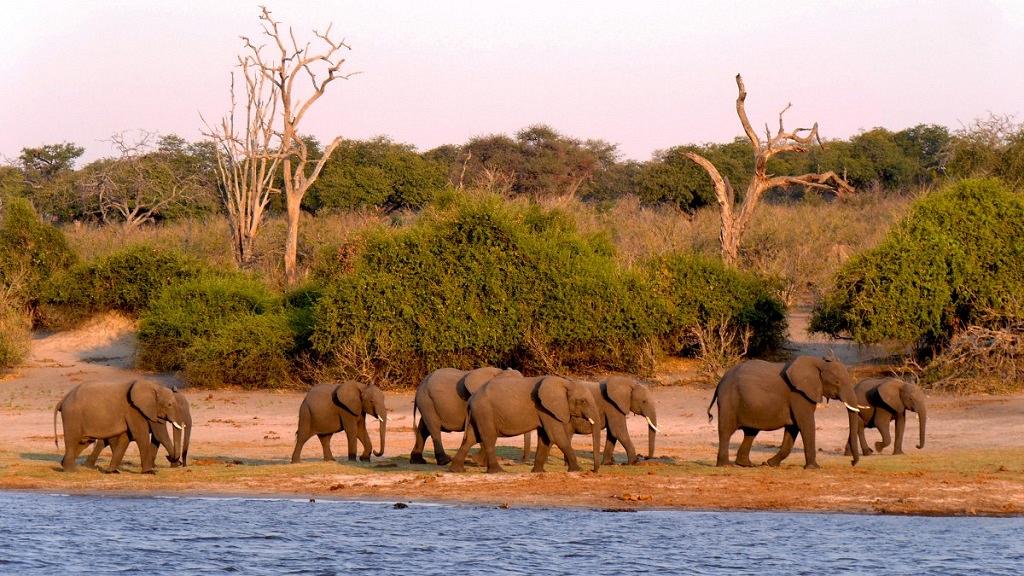 AFRICA
