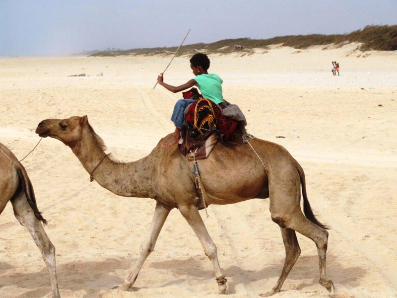 Dakar